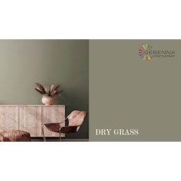 DRY GRASS.jpg